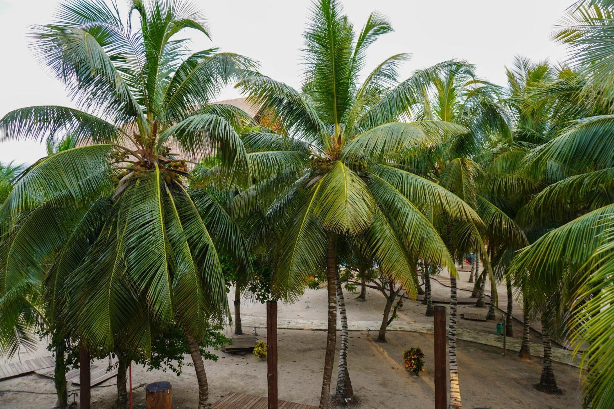 Castillete Hotel & Beach Club Tierra Bomba Ngoại thất bức ảnh